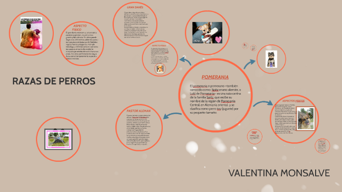 Perro Rommel RAZAS DE PERROS by ROMMEL SHAIKH on Prezi