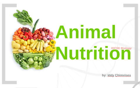 Animal Nutrition by Iddy Cvs