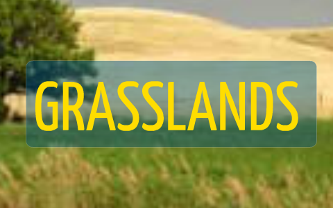 Grasslands of canada by good boy