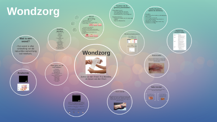 Wondzorg By Eva Manders On Prezi