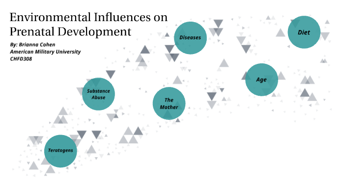 Environmental Influences On Prenatal Development By Bri Cohen On Prezi