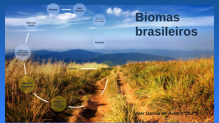 Trabalho sobre os biomas brasileiros by Vitor Avila on Prezi