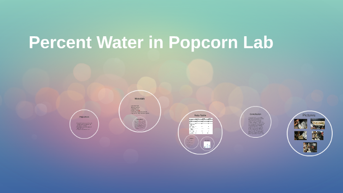 percent-water-in-popcorn-lab-by-briseyda-gonzalez