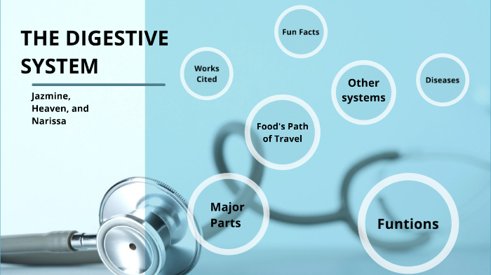 Digestive System by Jazmine Carroll on Prezi