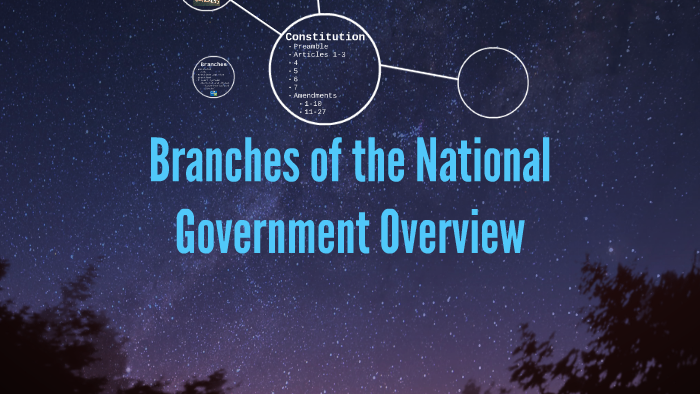 branches-of-the-national-government-overview-by-rebecca-mcgonigle