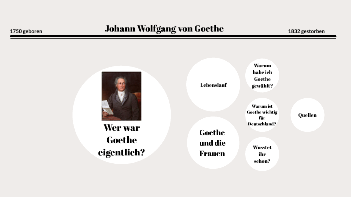 Johann Wolfgang Von Goethe By Marie Strack