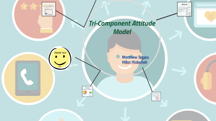 components of attitude