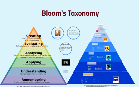 Bloom's Taxonomy by Lacy Boyer