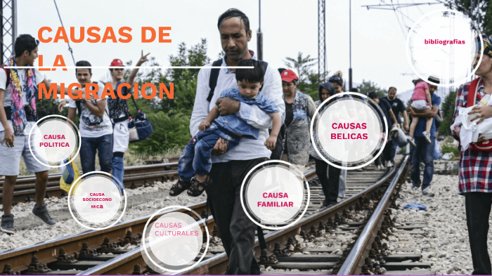 Causas De La Migracion