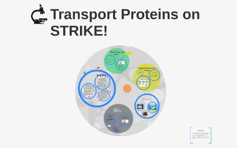 case study transport proteins on strike