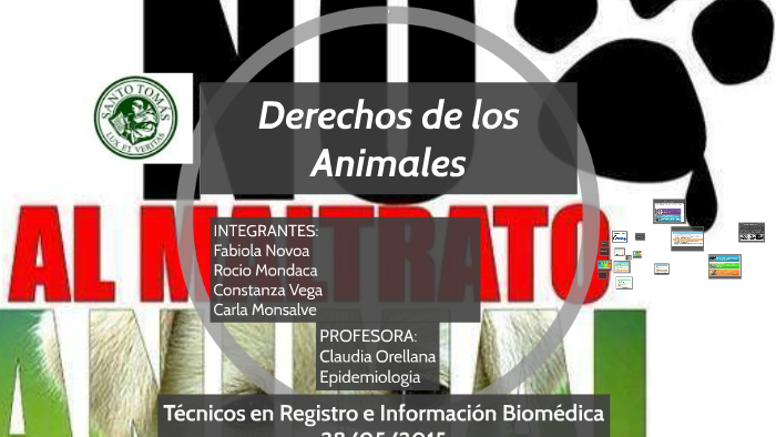 Derechos de los Animales by Fivaeko Caro López on Prezi