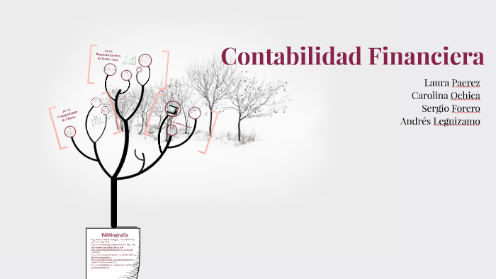 Contabilidad Financiera by Carolina Ochica on Prezi