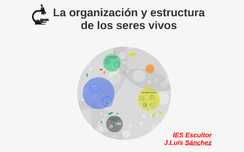 La Organización Y Estructura De Los Seres Vivos By Jesús Muñoz On Prezi