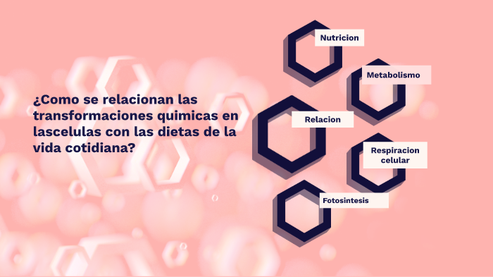 Transformaciones químicas en las células con las dietas de la vida