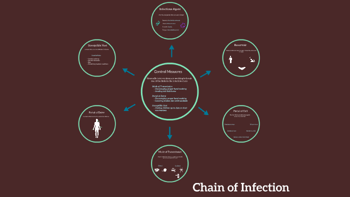 Chain of Infection by Susan Robinson on Prezi