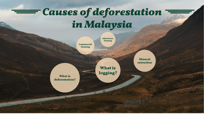 case study of deforestation in malaysia