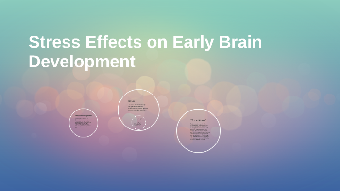 Stress Effects on Early Brain Development by Renny Nguyen on Prezi