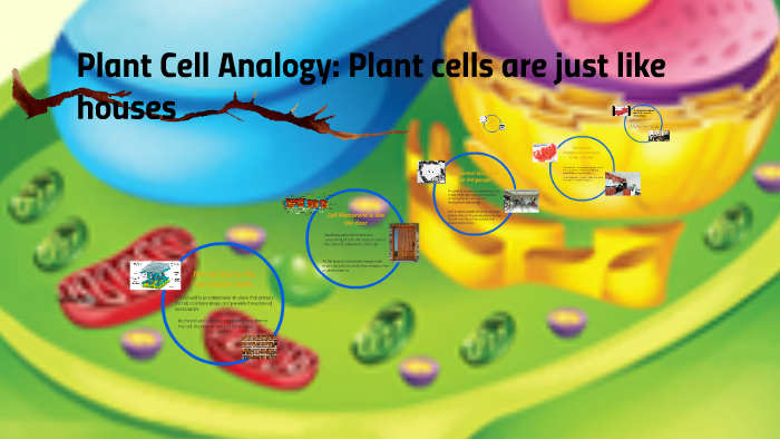 Plant Cell Analogy By Ryan Dahms On Prezi 8706