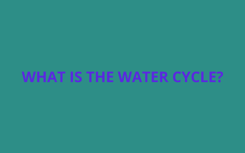 The Water Cycle by Valentina Contesse on Prezi