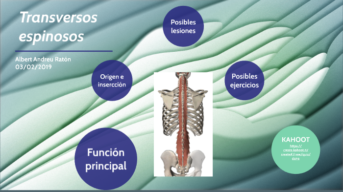 Transversos espinosos by Albert Andreu on Prezi