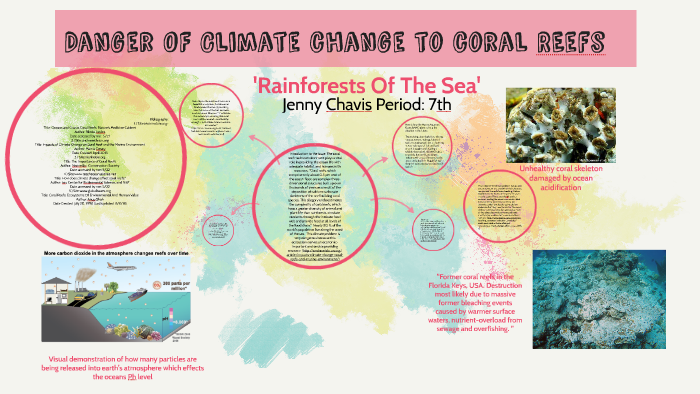 Danger Of Climate Change To Coral Reefs by Jennifer Chavis on Prezi