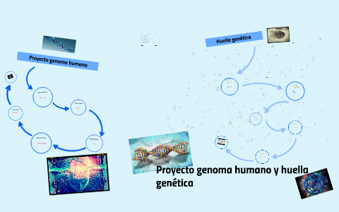 Proyecto Genoma Humano By