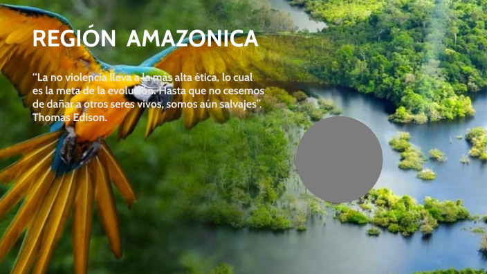 REGIÓN AMAZONICA by salchipapa de 8.000 on Prezi
