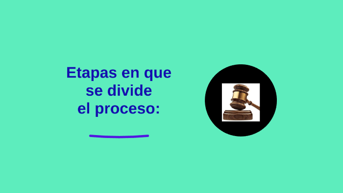 Etapas en que se divide el proceso: instrucción y juicio by Nancy ...