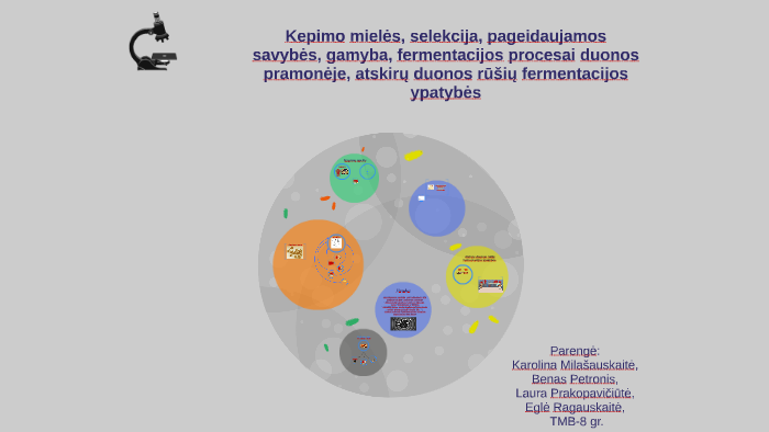 Kepimo Mielės Selekcija Pageidaujamos Savybės Gamyba Fer By Egle Ragauskaite