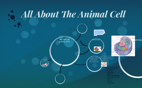 All About The Animal Cell by briana bowman on Prezi