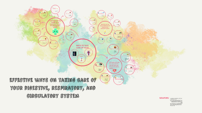 Effective ways on taking care of your digestive, respiratory, and ...