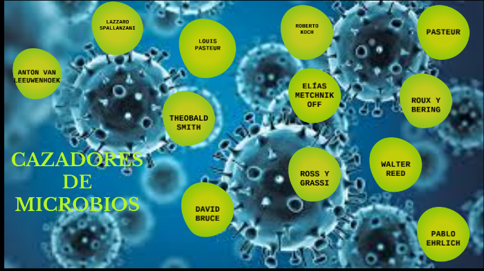 CAZADORES DE MICROBIOS by Reyna Amarilis IsiCam on Prezi