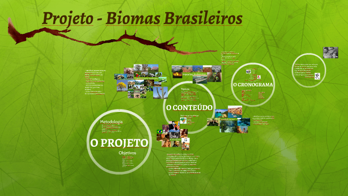 Projeto - Biomas Brasileiros by Luis Otavio Targa on Prezi