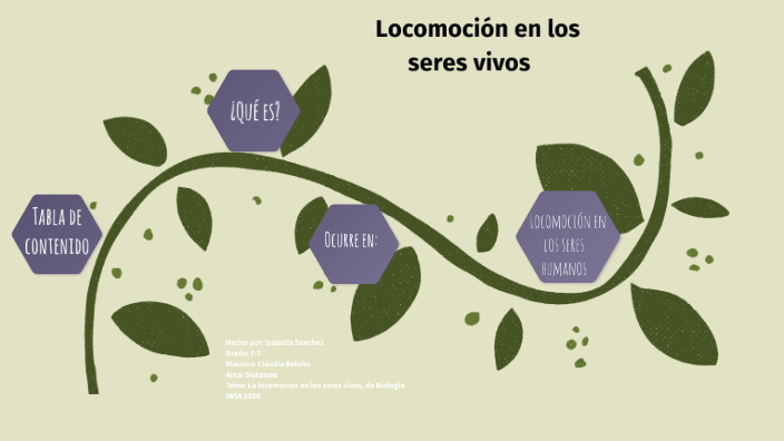 Trabajo sistemas, Locomoción en los seres vivos by isabella sanchez on ...