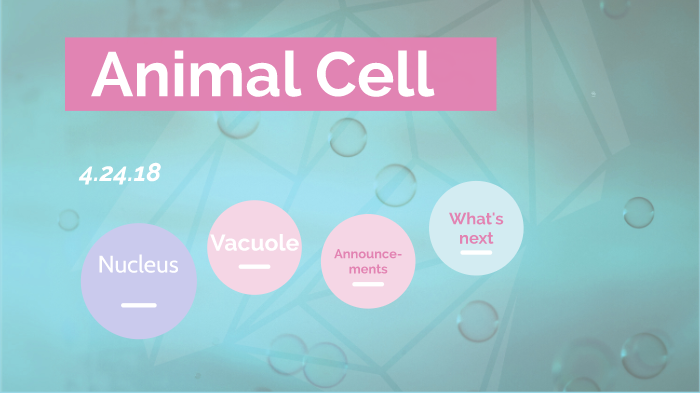 Animal Cell by Ana Lopez on Prezi