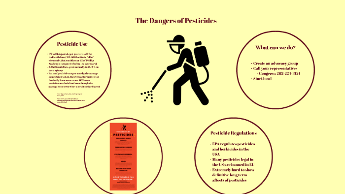 The Dangers Of Pesticides By Shosh Winty