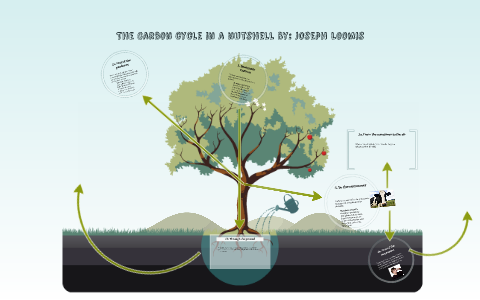 The Carbon cycle by George Loomis on Prezi