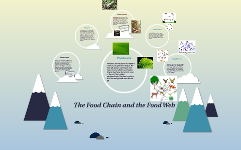 The Food Chain and the Food Web by puppy lover 8 on Prezi