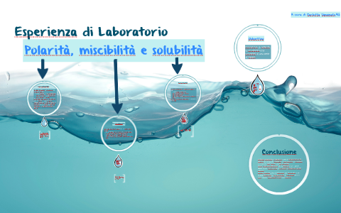 Esperienza di Laboratorio by Carlotta S