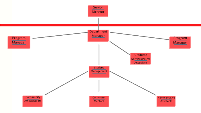 Organizational Structure by Amy Chen on Prezi