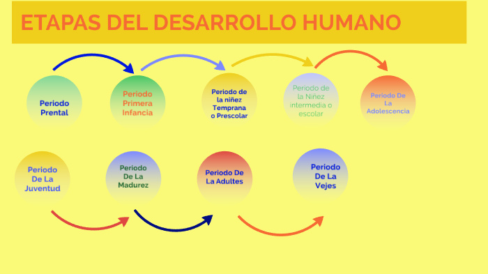 ETAPAS DEL DESARROLO HUMANO by Henry Rojas Pravia on Prezi