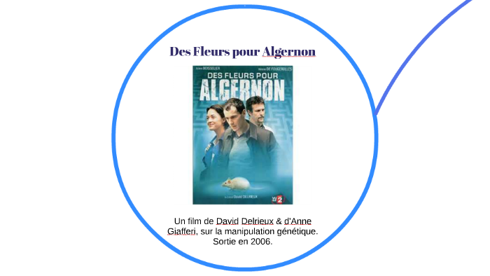Des Fleurs Pour Algernon Résumé Par Chapitre