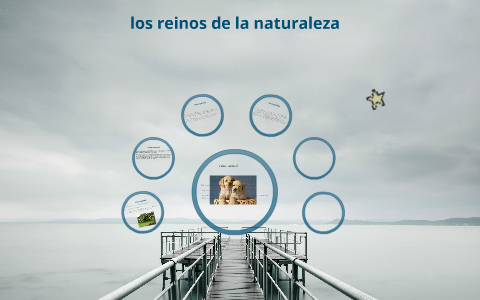 reinos de la naturaleza by omar hernandez on Prezi