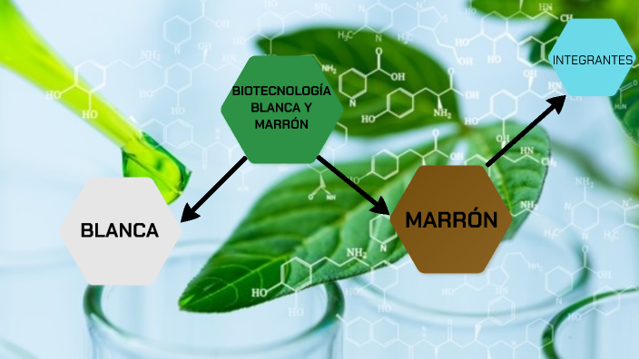 ejemplos de biotecnología