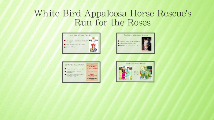 White Bird Appaloosa Horse Rescue Run for the Roses by nat rambo on Prezi