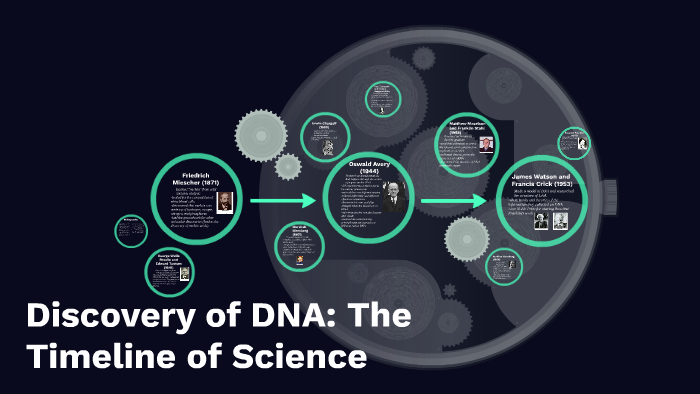 Discovery of DNA: the Timeline by Isabella Luca on Prezi