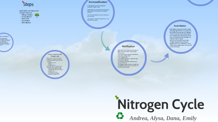 Nitrogen Cycle by Taylor Emily on Prezi