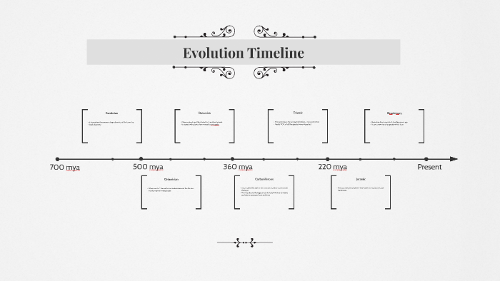 Evolution Timeline by Cole Brand on Prezi