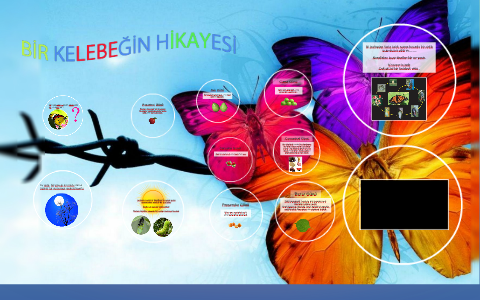 Bir Kelebegin Olusum Hikayesini By Kadriye Ozcan On Prezi