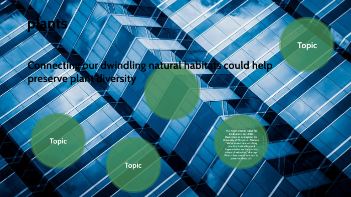 Ryan by ryan bailey on Prezi